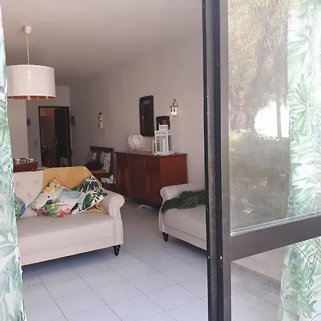 Mourisca * 珀彻斯